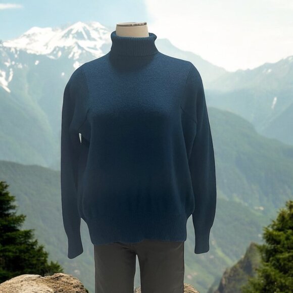 Athleta XS Turtleneck Sweater Oversized Cozy Cashmere/Wool Fall Winter Versatile - Picture 1 of 8